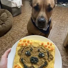 A brown dog with a tuxedo collar sits attentively on a tiled floor, staring at a homemade dog-friendly cake. The cake, decorated with yellow frosting, peanut butter, and small pieces of carrot, features a smiling dog face design.